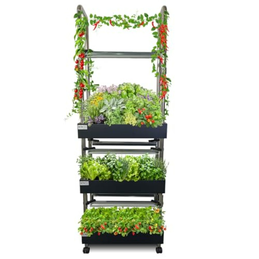 Indoor hydroponics growing sys - đánh giá và giá Smart Garden System