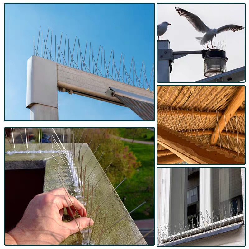 10/1x Pigeon Spikes Deterrent  - đánh giá và giá Smart Garden Fence