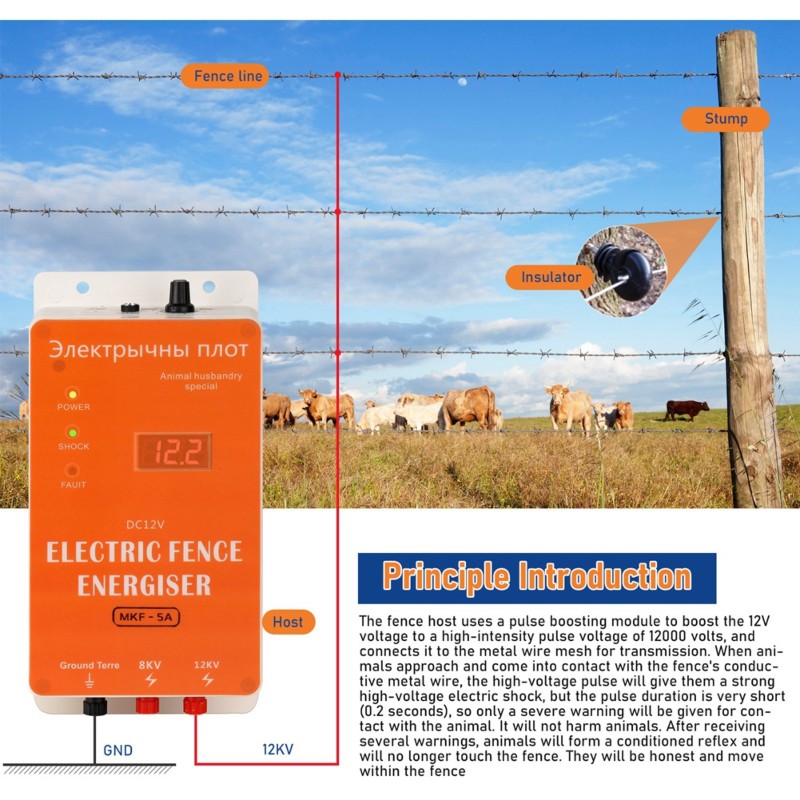 ABMI-Smart 12V Waterproof Elec - đánh giá và giá Smart Garden Fence